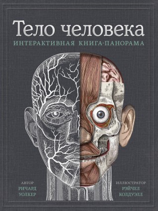 Тело человека. Интерактивная книга-панорама книга