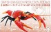 Evangelion Edition American Crayfish EVA Unit-02фигурка
