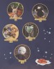 Книга Школа вязания для поттероманов. Неофициальная книга амигуруми по мотивам вселенной Гарри Поттера издатель Эксмо
