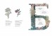 Артбук Азбука северных растений (альтернативная обложка) издатель Alpaca