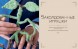 Книга Магия вязания спицами. Возвращение в Хогвартс: новая коллекция одежды, игрушек и аксессуаров из мира источник Harry Potter