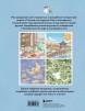 Книга Волшебное путешествие лисенка Согыми. Раскраска от популярной корейской художницы автор Sogumi