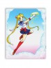 Тетрадь "Сейлор Мун" источник Sailor Moon