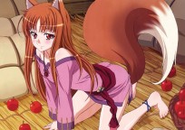 Плакат "Spice & Wolf" 2 category.Posters