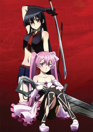 Плакат "Akame ga Kill!"
