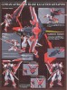 1/100 MG Gundam Astray Red Frame Lowe Gueles Customize Mobile Suit MBF-PO2KAI серия MG Gundam SEED