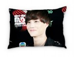 Подушка "Kai EXO-K+Kris EXO-M" декоративные подушки