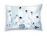 Подушка "BTS" 2 декоративные подушки