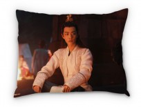 Наволочка для подушки "Сяо Чжань" category.Pillows-outside