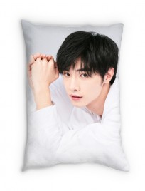 Подушка "Сун Цзиян" category.Pillows