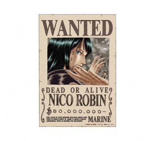 Магнит Robin Wanted
