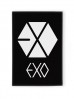 Обложка для паспорта "EXO" источник Exo